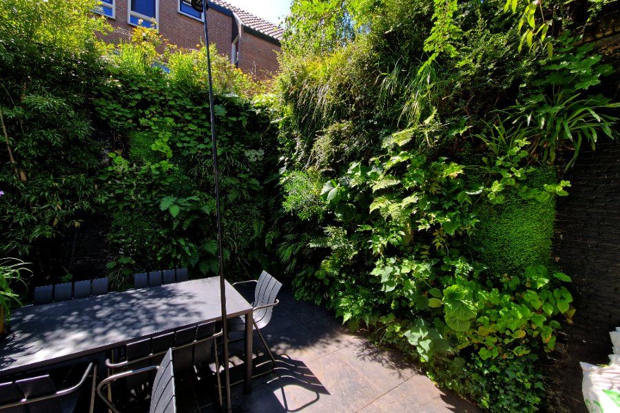 groene wand patio Utrecht