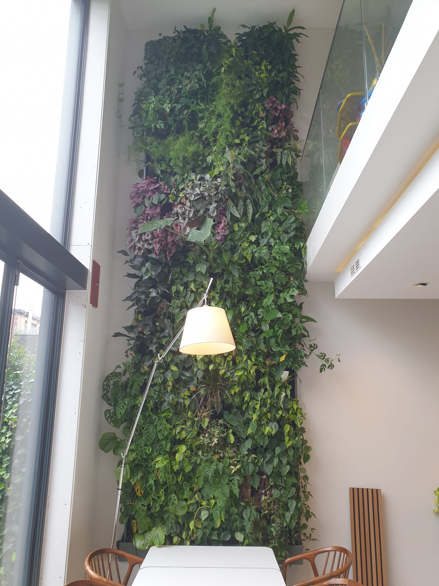 Mevrouw paus peddelen Deze levende plantenwand zorgt voor een prachtige groene keuken! - Vertical  Gardens