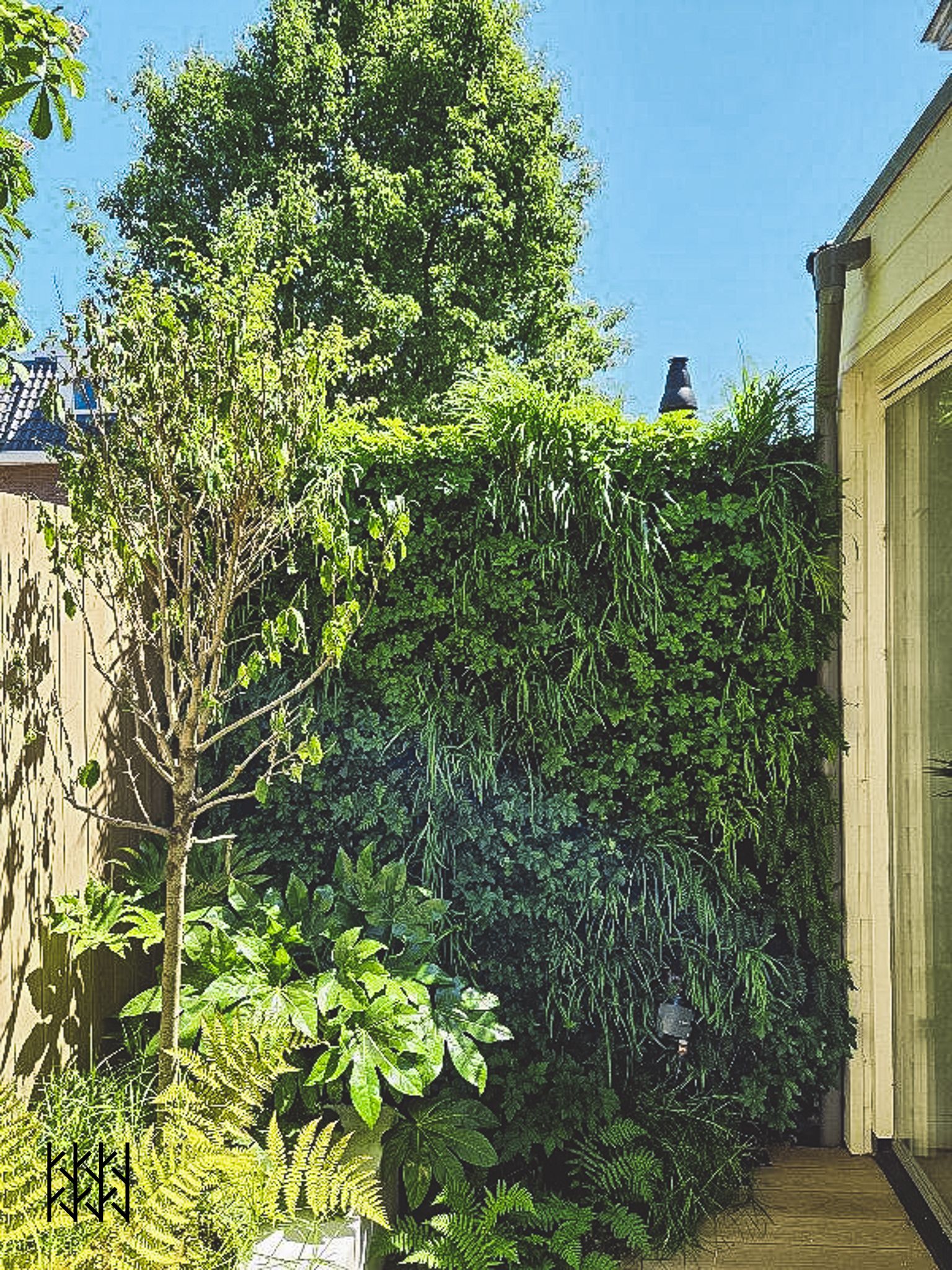 Green wall Patio achtertuin Utrecht